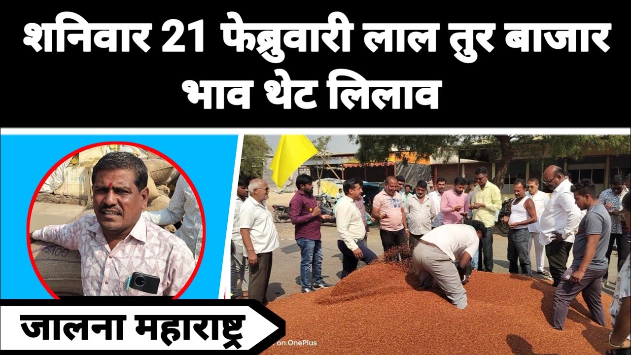शनिवार 21 फेब्रुवारी लाल तुर बाजार भाव थेट लिलाव जालना महाराष्ट्र || लाल तुरीला काय मिळतो भाव