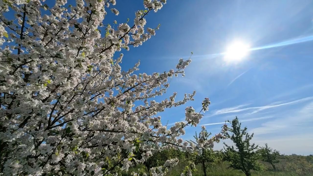 Ein schöner Tag vom 25 April 2025👋