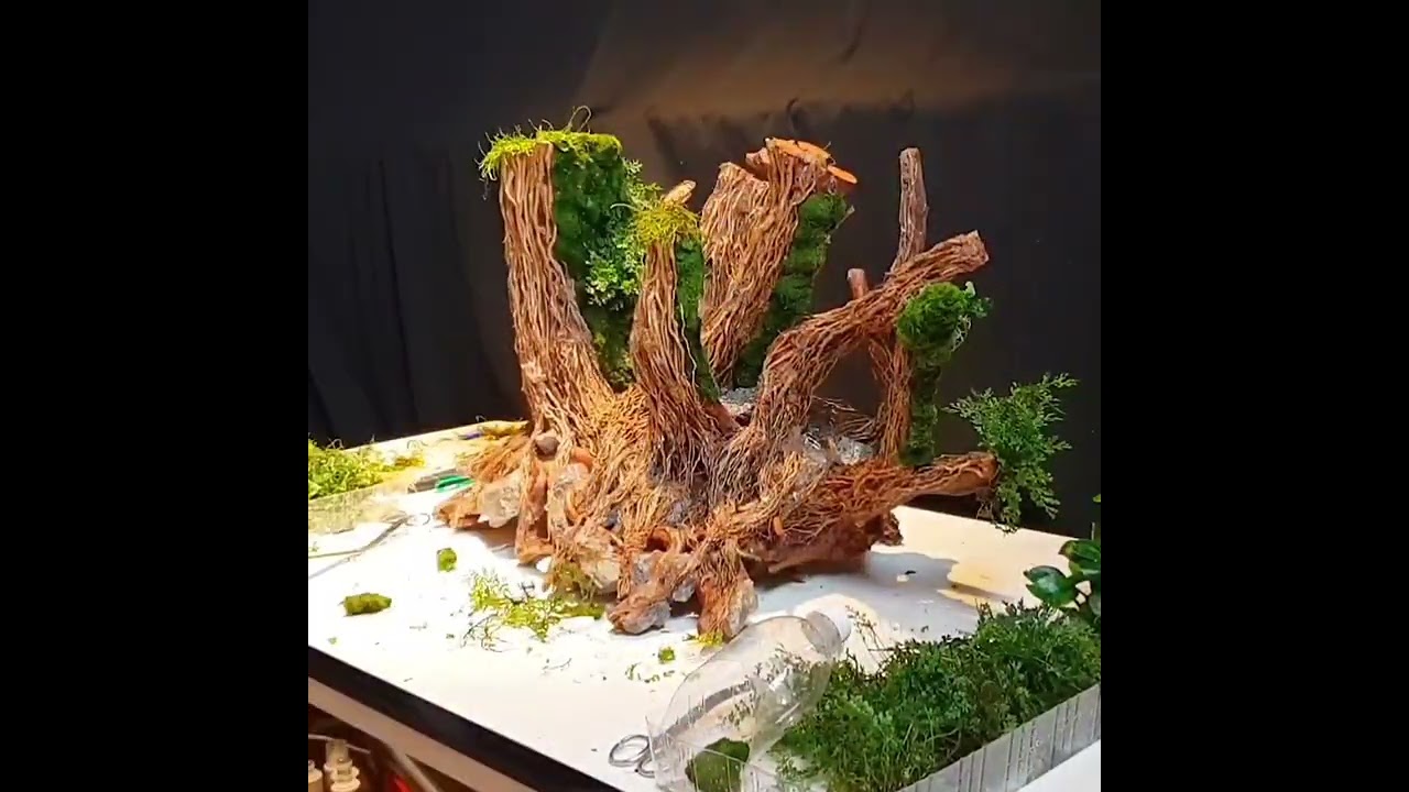 Plug&Plant Hardscape