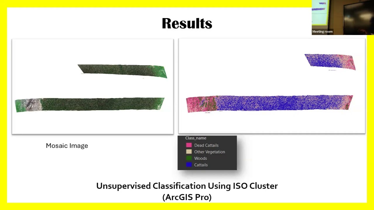 MnSGC Student Symposium 2026: Oral C2 BSU Olatunui Onipede Cattail Identification