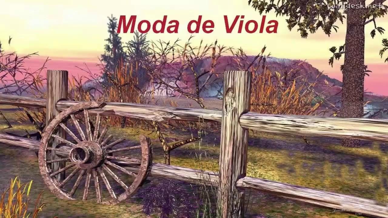 1H DE MODA BOA PRA MATAR A SAUDADE!