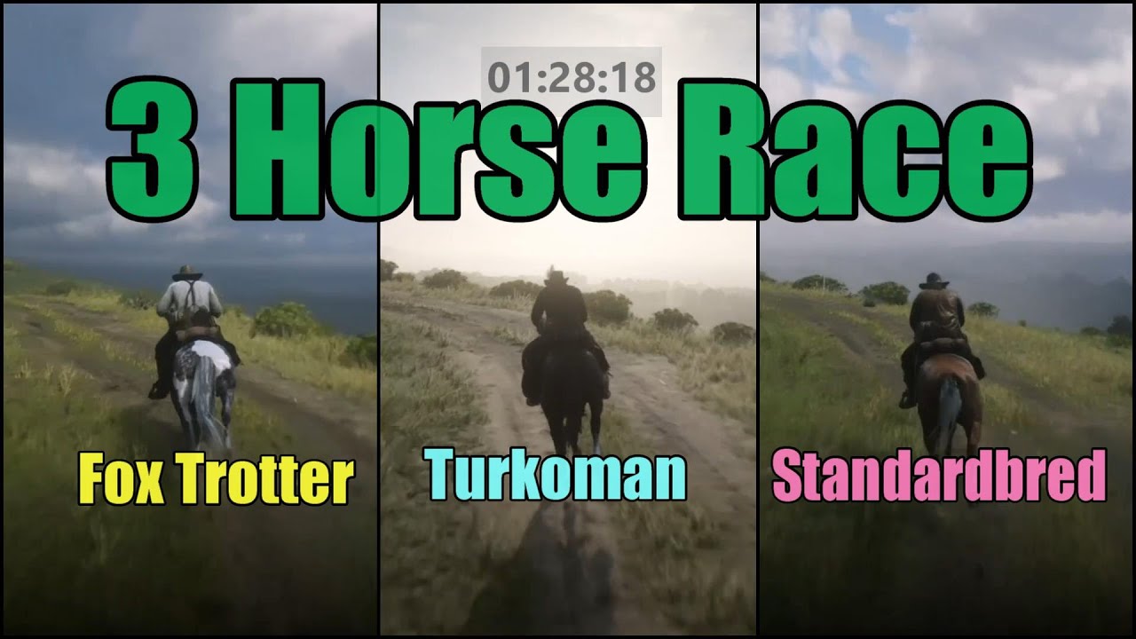 Short Track Race : Missouri Fox Trotter vs Turkoman vs American Standardbred : RDR2