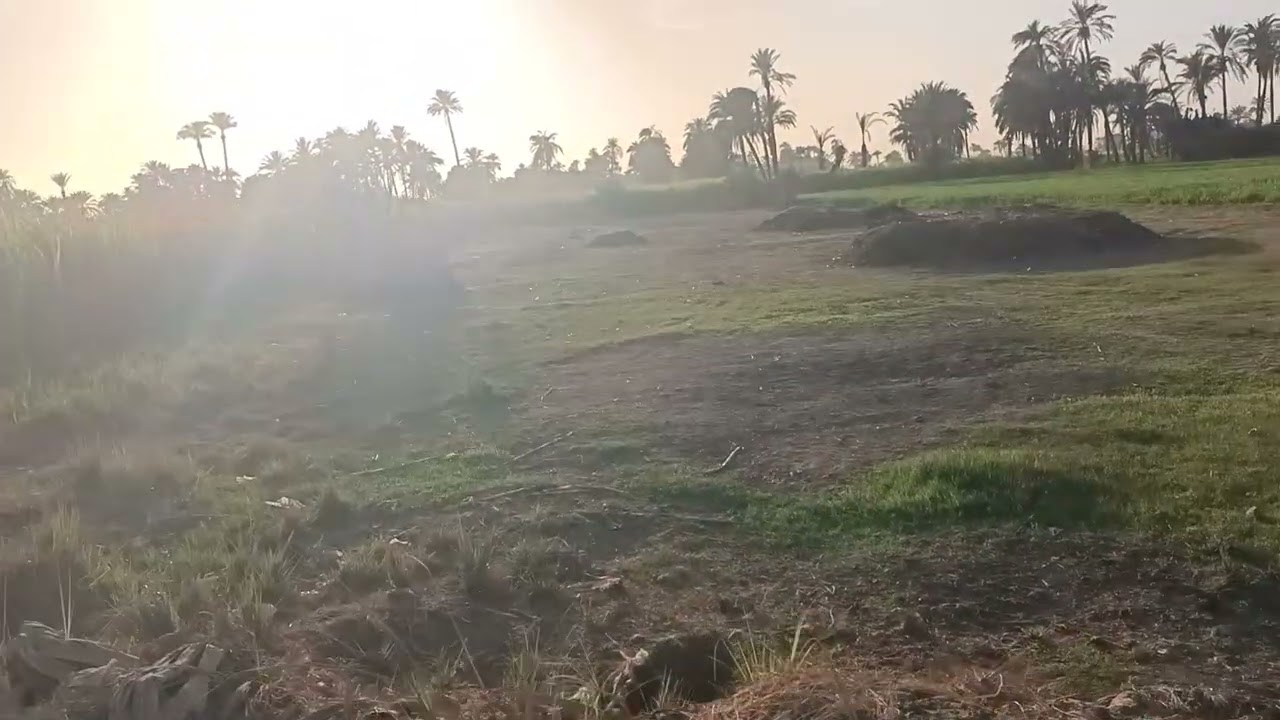 المدارس مؤجلة رغم التبرع بالأرض فى ديروط ام نخلة..شاهد..حياة كريمه (صوت وصورة)@