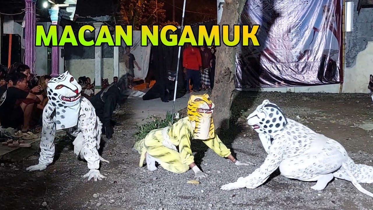 Buron Alas Macanan Seni Bantengan Putro Kusumo Jati Mojopahit Live Jatirejo Mojokerto