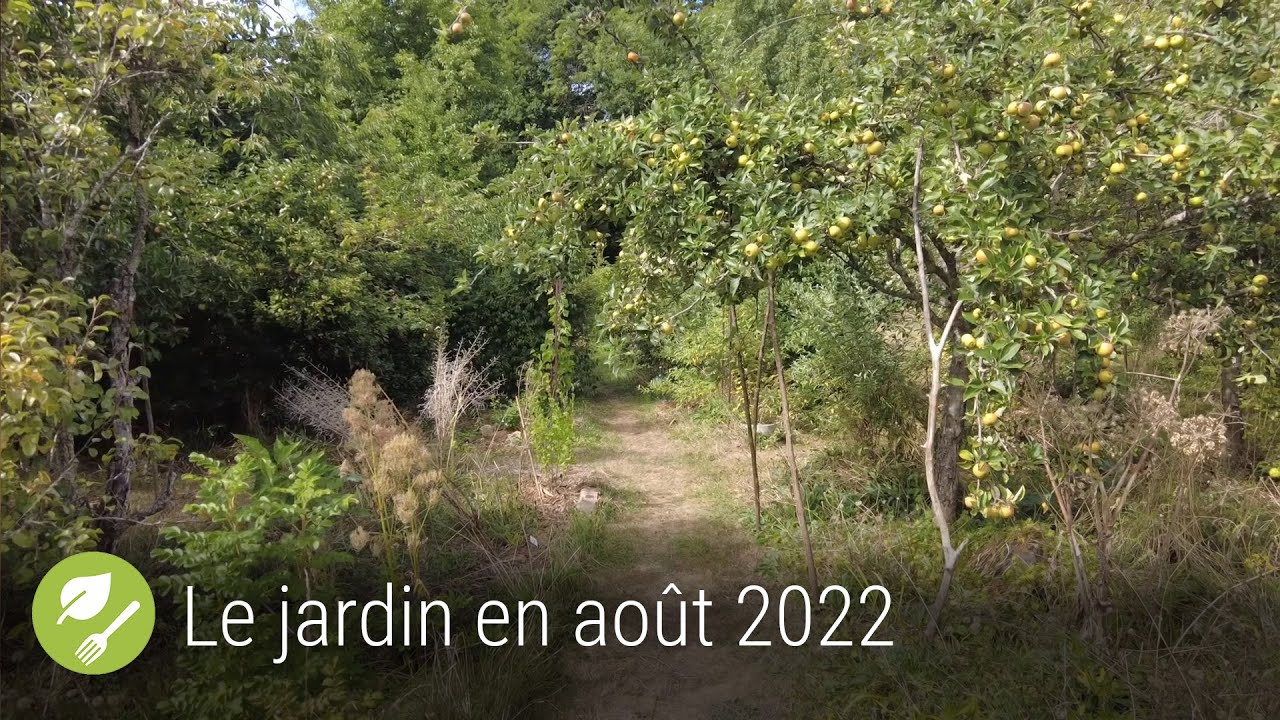 Le jardin qui se mange en août 2022