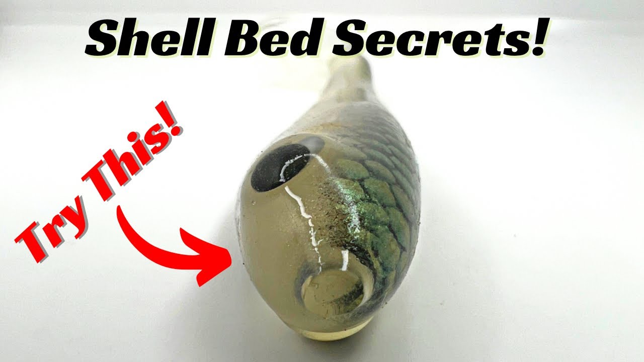 Shell Bed Secrets That Catch Giant Bass!