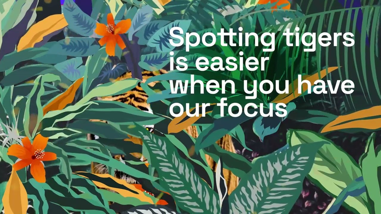 Invest with Precision | 360 ONE Focused Equity Fund