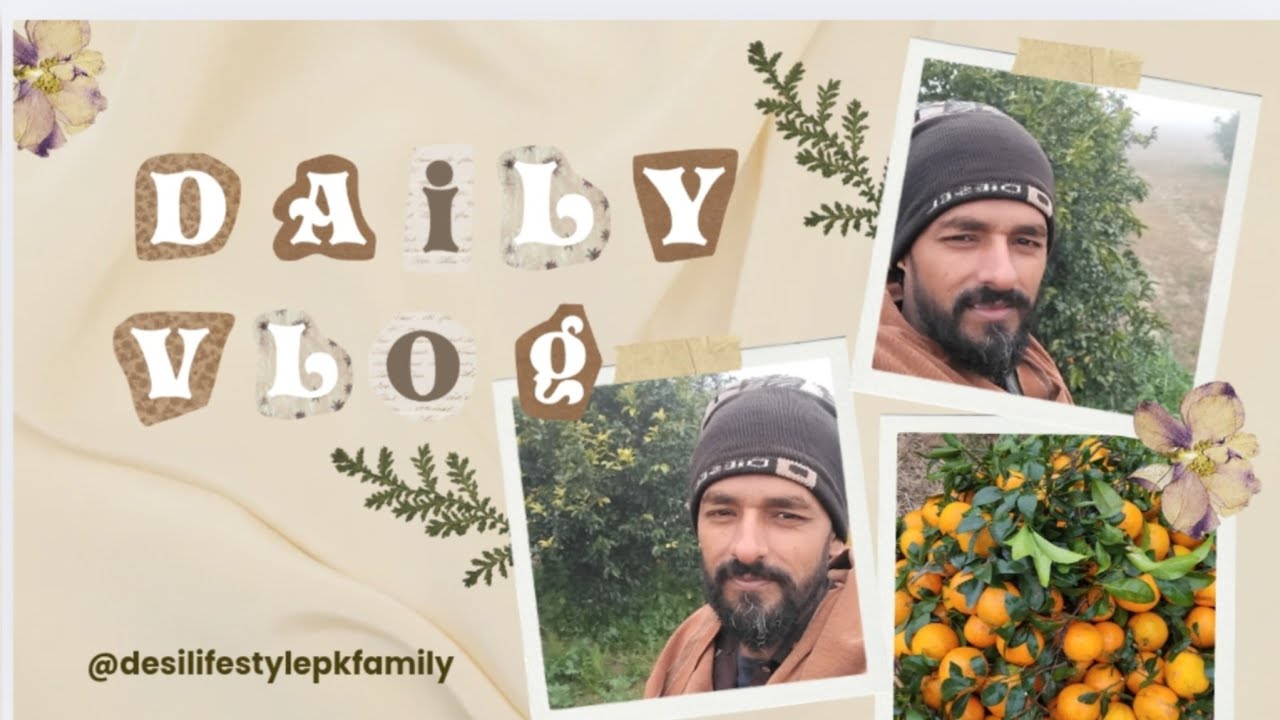 My First Vlog Orange Harvest 🍊 | Village Farming Vlog | Fresh & Organic | From Tree to Basket