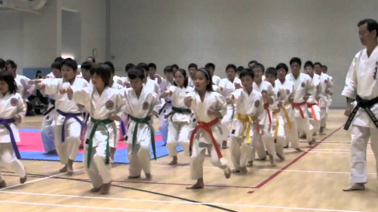 2011 SKIF HK Happy 40 Part 1