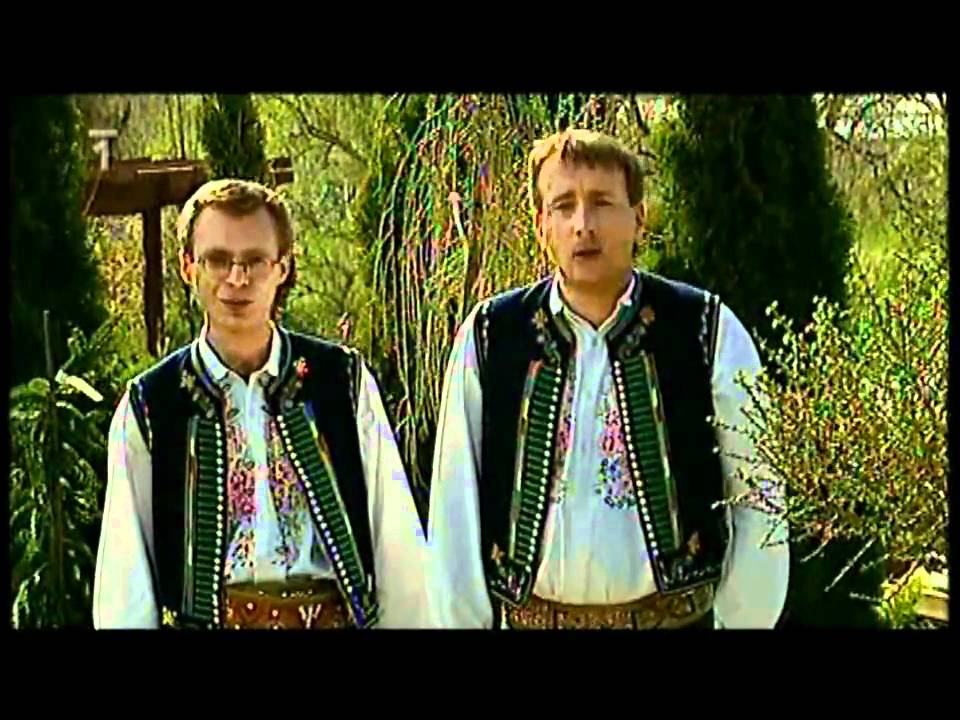 Andulička – Sokolka (2008)