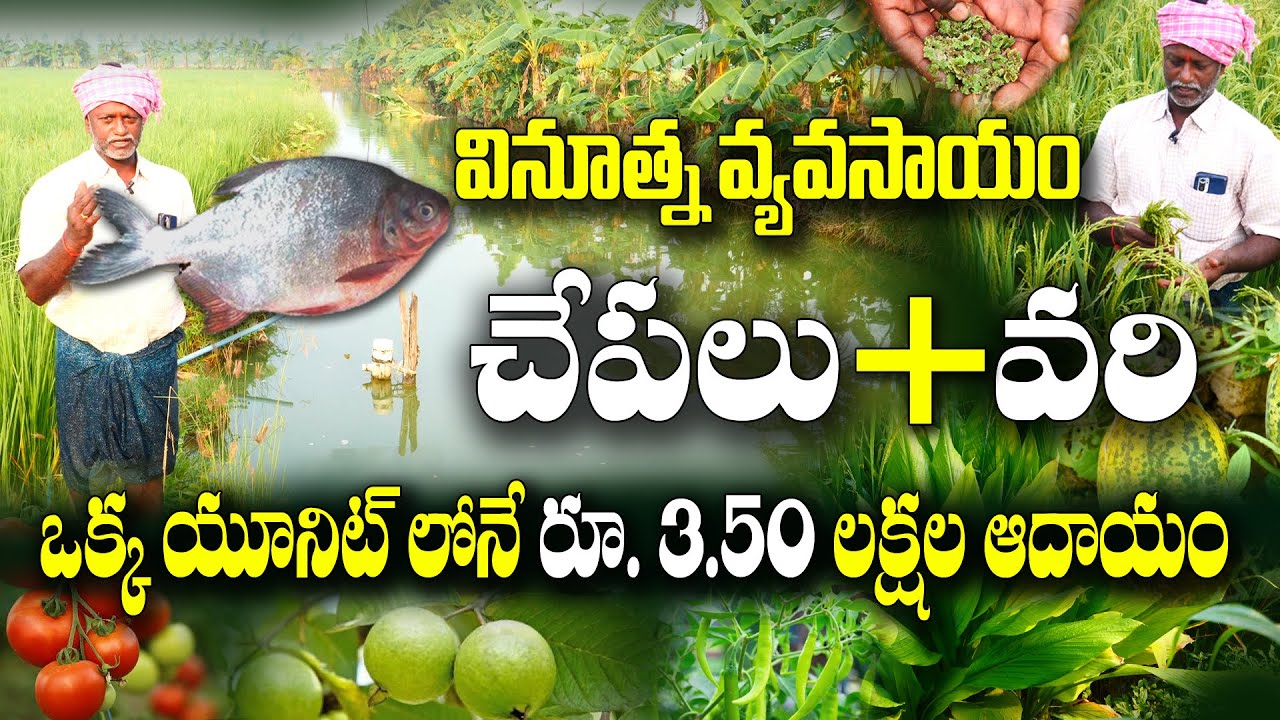 ఎకరంన్నరలోనే పంటలు, చేపలు, కోళ్లు - ప్లానింగ్ సూపర్ | Integrated farming | G Venkataratnam