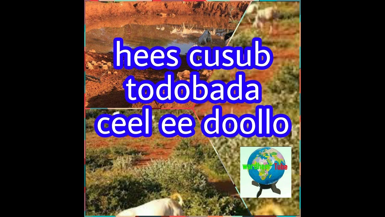 Hees cusub | todobada doollo | 2017