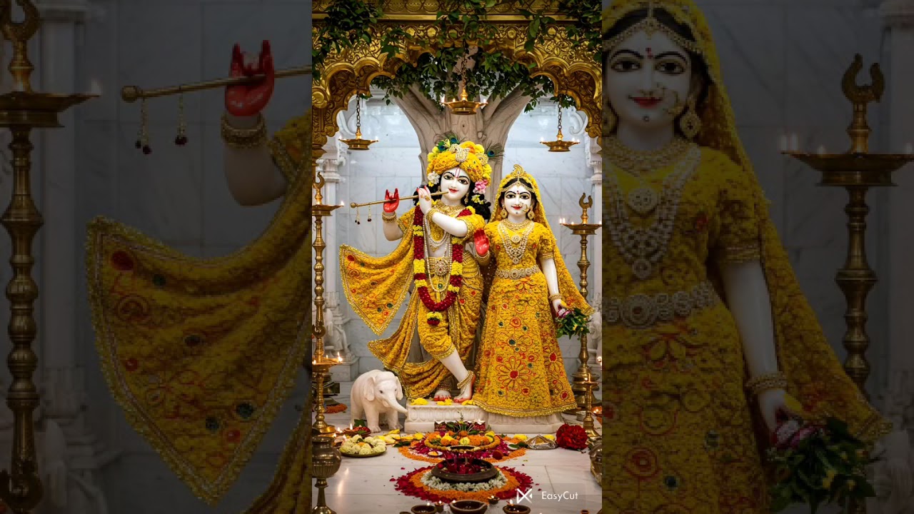 श्रीमदभागवत कथा स्कन्ध तृतीय भाग 20 भगवान कपिलोपाख्यान(13)मानव जीव एवं भक्तों की गति ।।
