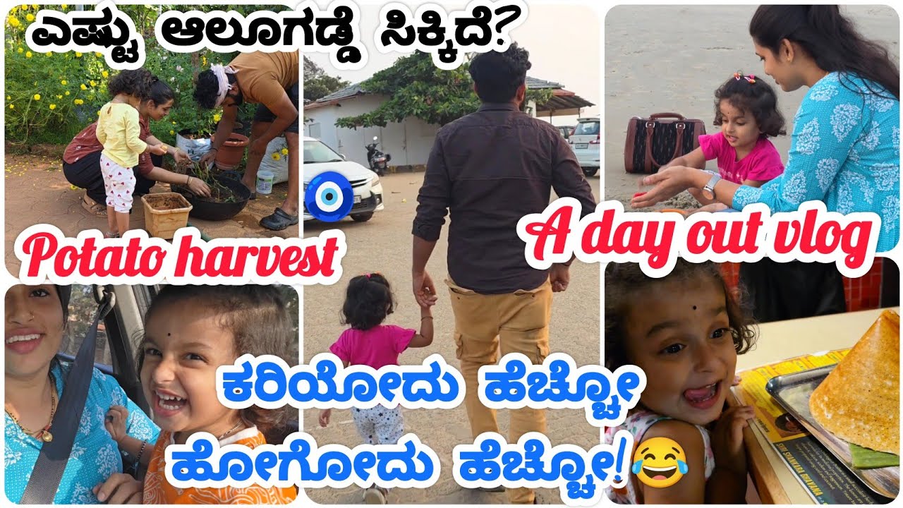 ಈ ಚಾನ್ಸ್ ಅಂತೂ ಮಿಸ್ ಮಾಡ್ಕೊಳ್ಳೋದೇ ಇಲ್ಲ! | ಪಟ್ ಅಂತ ರೆಡಿ ಆಗಿ ಎಲ್ಲಿಗೆ ಹೊರಟಿದ್ದು? | Potato harvest