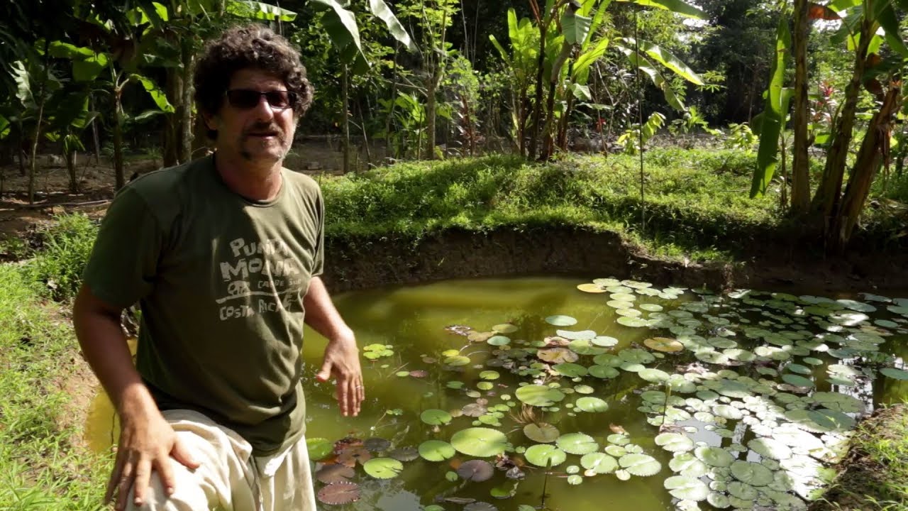 Chinampas - Punta Mona Costa Rica