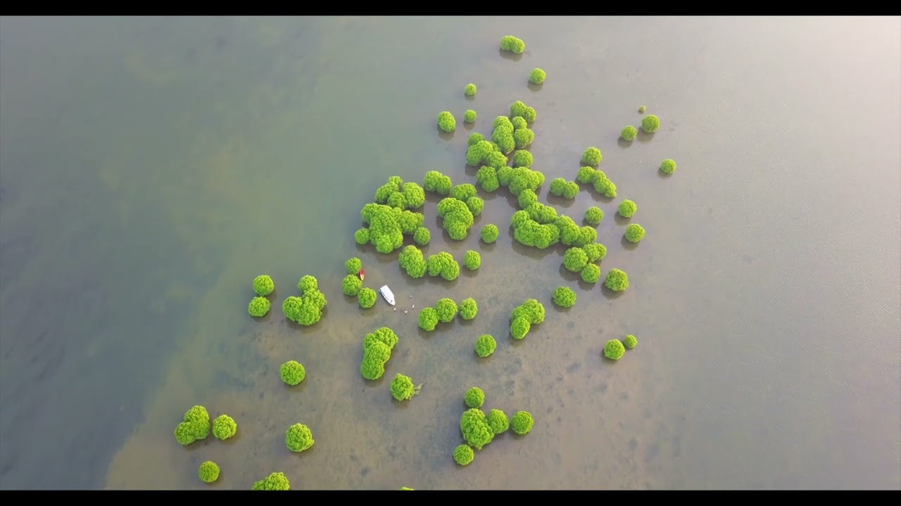 Drone footage of Kavvayi Island