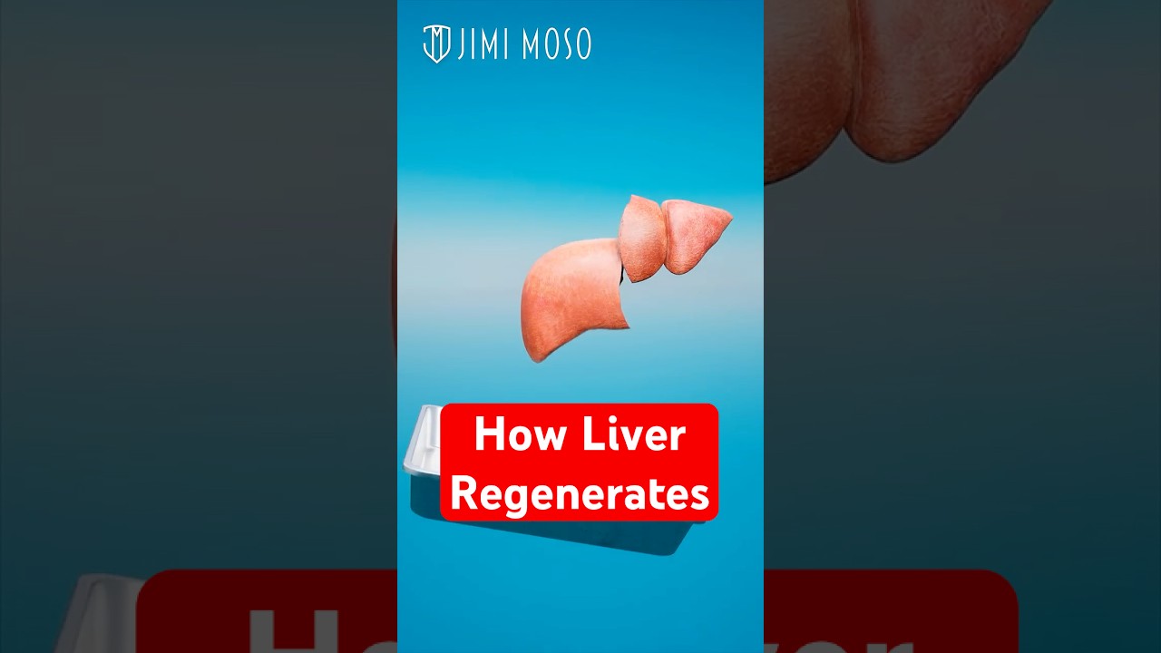 How Your Liver Regenerates If You Donate Partially  #medical #organdonation