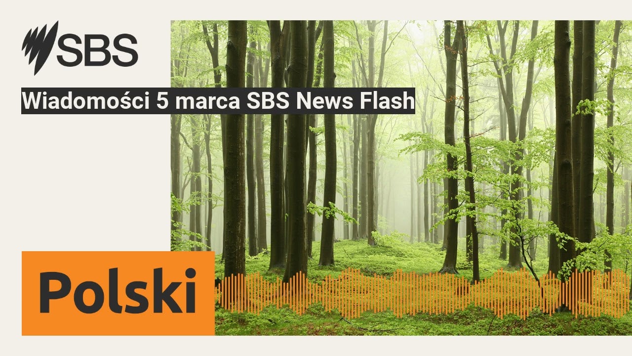 Wiadomości 5 marca SBS News Flash | SBS Polish - SBS po polsku