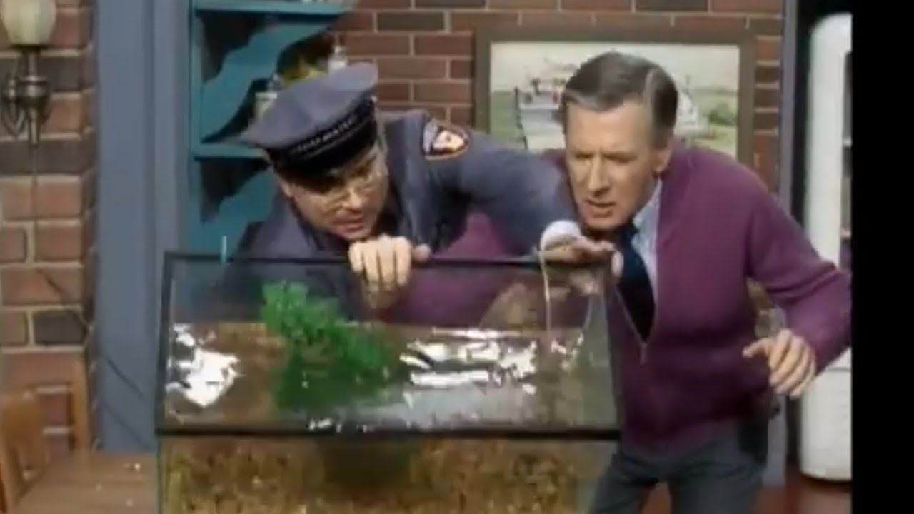 Mr. Rogers Reimagined 7- Fishy Secrets in the Neighborhood 😈 #ai #comedy #mrrogers #DarkComedy