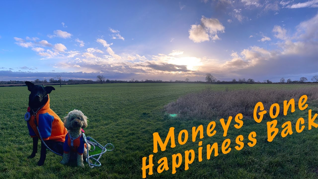 (愛爾蘭路線)寵物移民英國🇬🇧洗費大公開 #寵物移民英國 #寵物移民 #愛爾蘭路線 #移英港人 #bno