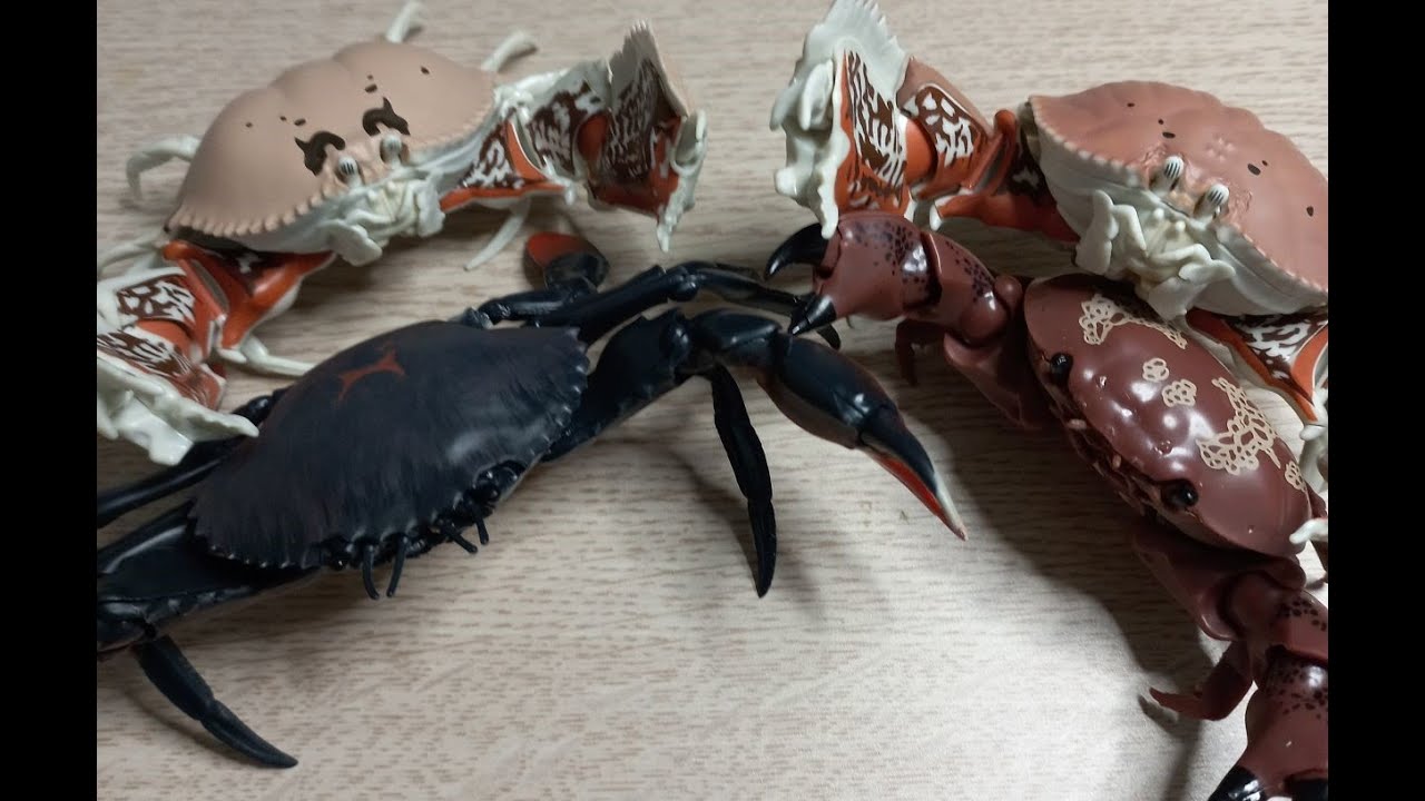 Bandai Gashapon いきもの大図鑑 Ikimono Daizukan 'カニ(Crab)' Series 01