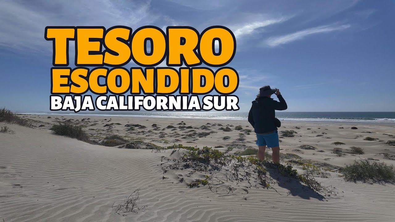 Puerto San Carlos: El tesoro oculto de Baja California Sur