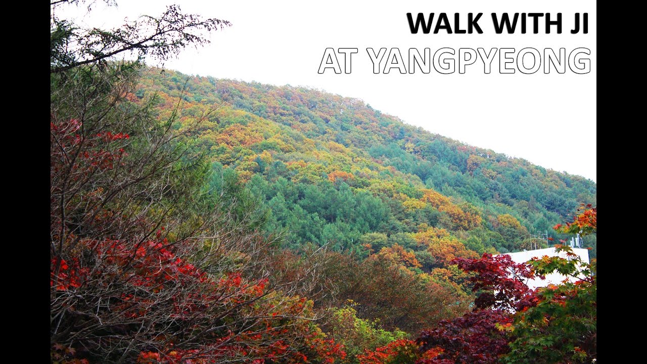 Walk With Ji at Yangpyeong (Family Trip Pt  1)