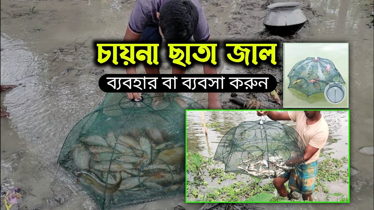 চায়না ছাতা জালের দাম | umbrella fishing net | চায়না ফিশিং নেট #চায়না_জাল