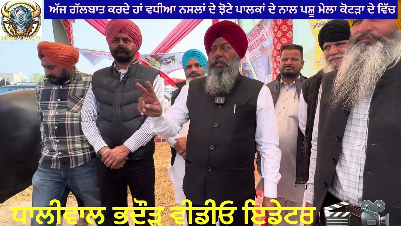 ਪਸ਼ੂ ਮੇਲਾ ਪਿੰਡ ਕੋਟੜਾ ਜ਼ਿਲ੍ਹਾ ਮਾਨਸਾ ਵਿੱਚ ਅੱਜ ਲੱਗੀਆਂ ਗਈਆਂ ਪੁਜ਼ੀਸ਼ਨਾਂ ਵਾਲੇ ਝੋਟੇ ਤੇ ਮੱਝਾਂ ਨਾਲ ਗੱਲਬਾਤ 👌🏾 