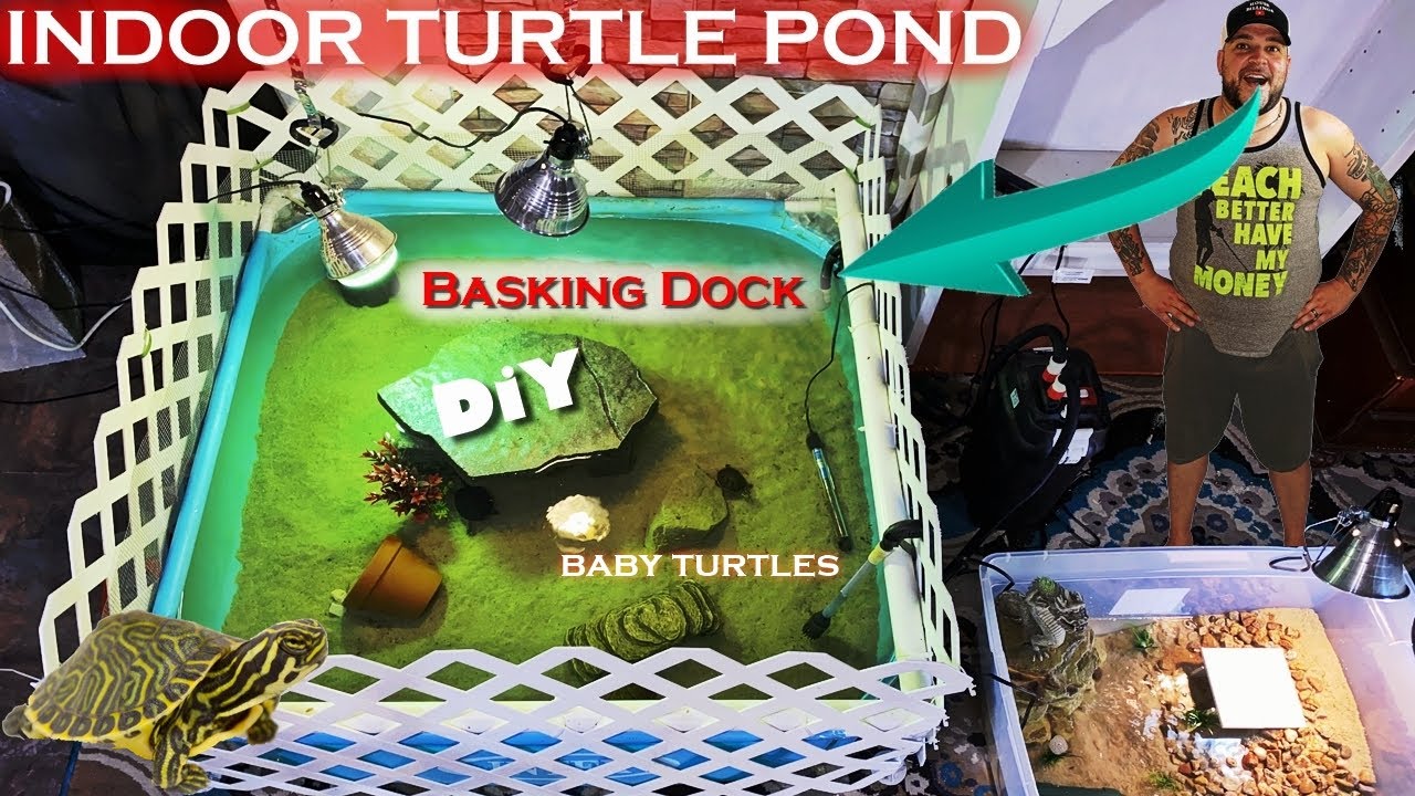 INDOOR TURTLE POND for BABY TURTLES + diy BASKING DOCK