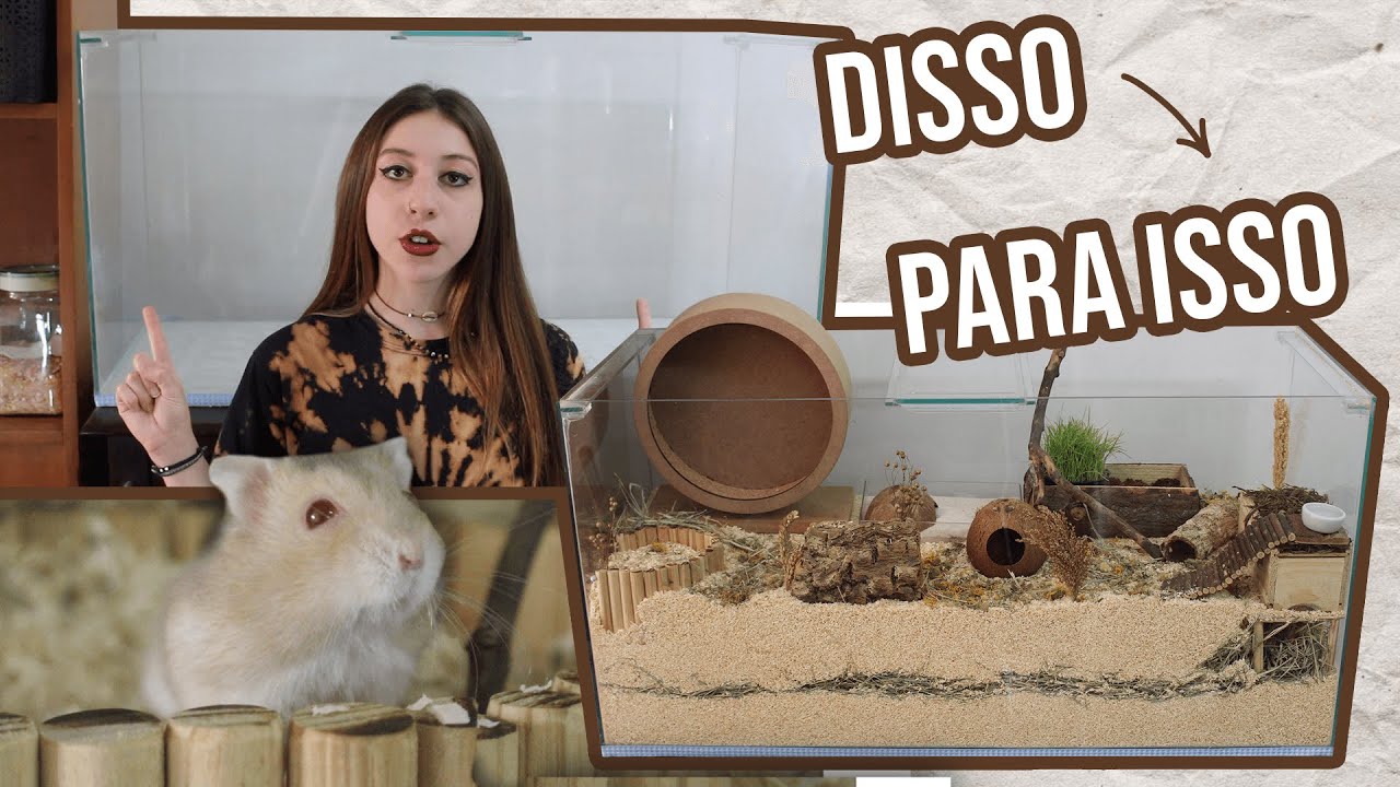 COMO MONTAR UM TERRÁRIO para hamster ou gerbil