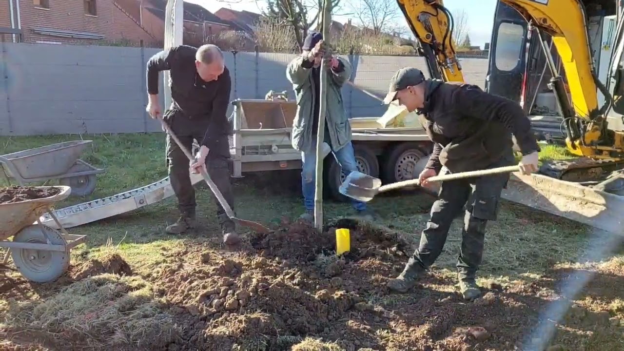 Plantations d'arbres - Trame verte de Ronchin - F&eacute;vrier 2022