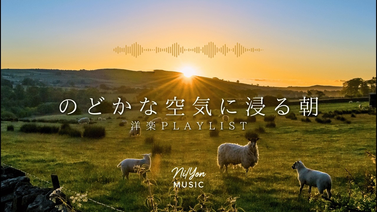 途中広告なし【Playlist】のどかな空気に浸る朝 | 作業用BGM | Chill & Relax