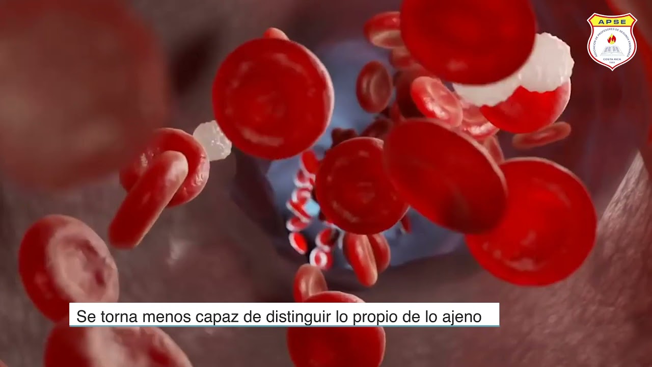 HABLEMOS SOBRE EL BUEN VIVIR: ENVEJECIMIENTO DEL SISTEMA INMUNOLÓGICO