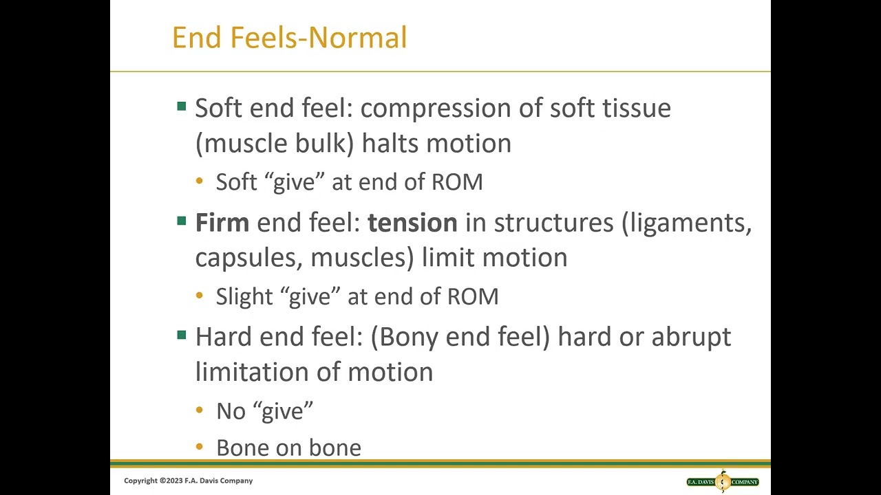 Chp 04 Articular System and Arthrokinematics