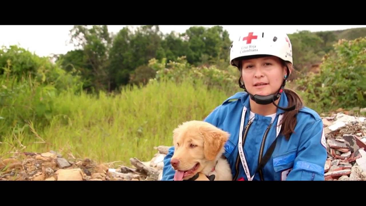 Cruz Roja Colombiana – Grupo de Búsqueda y Rescate con Perros (K-sar)