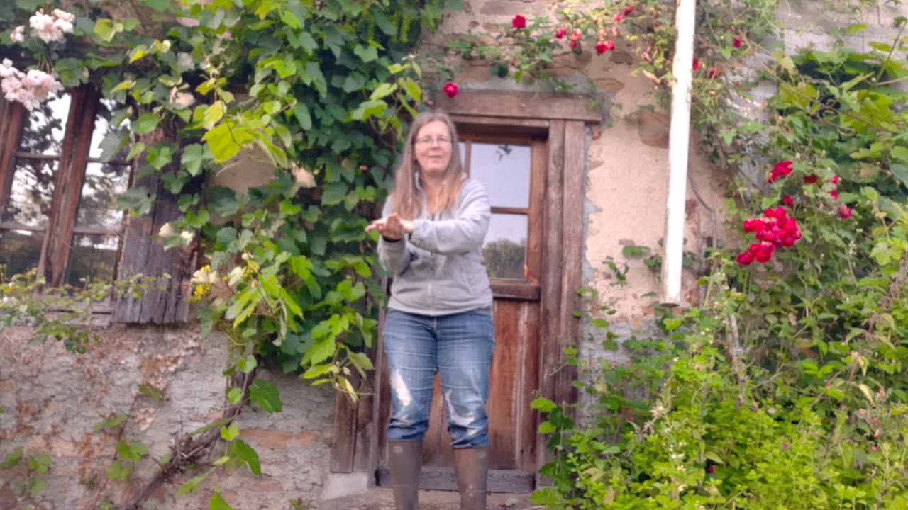 Tuto 1 En Français   Bring a little water Susie