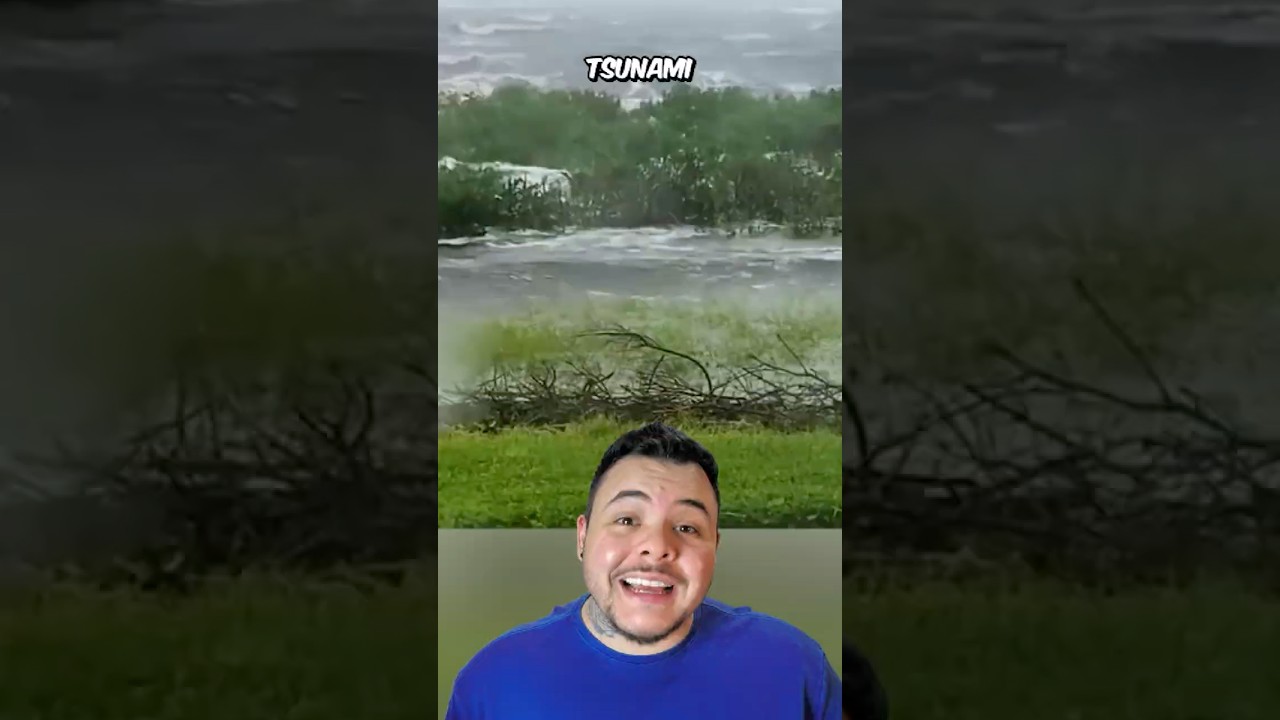 O PODER DE UM MANGUEZAL! 🌊