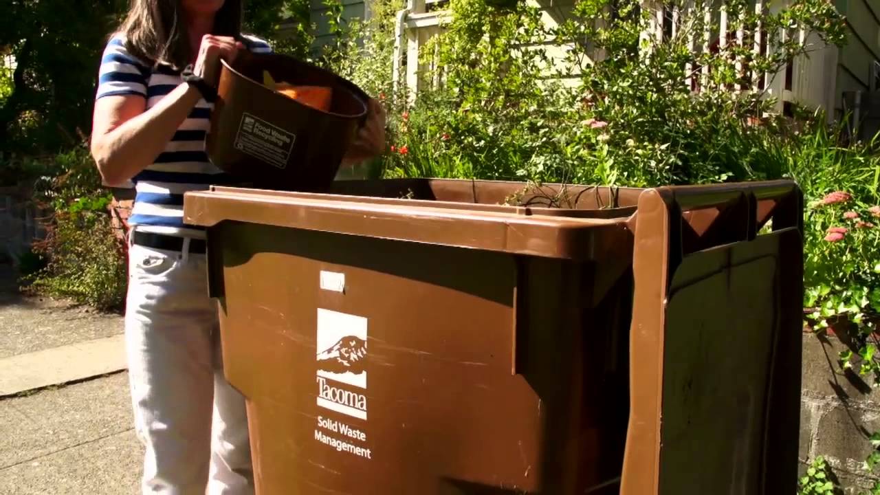 Where Does Our Food and Yard Waste Go? - EnviroShort