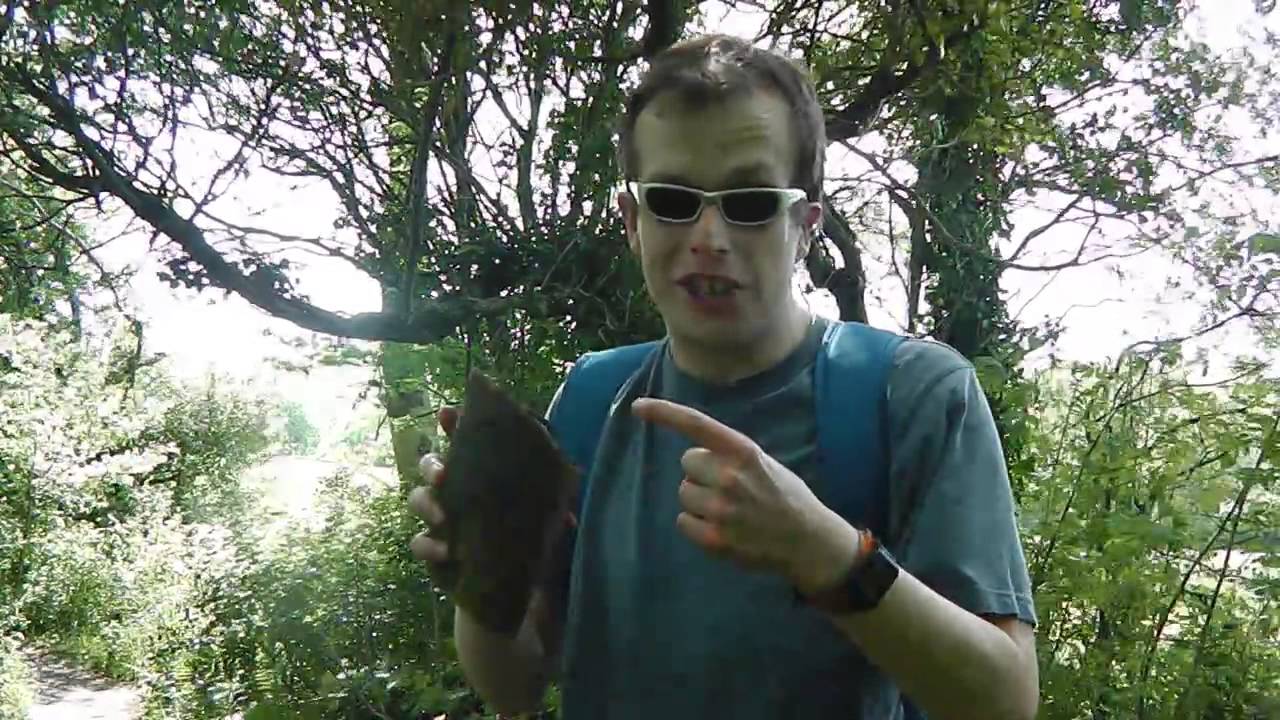 A Walk Around Clyne Country Park In Swansea South Wales