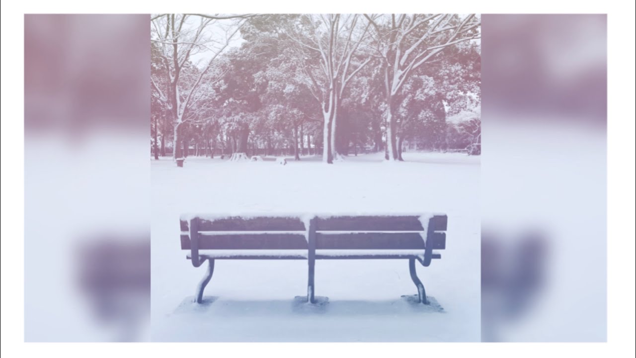宿雪 - おとぎ