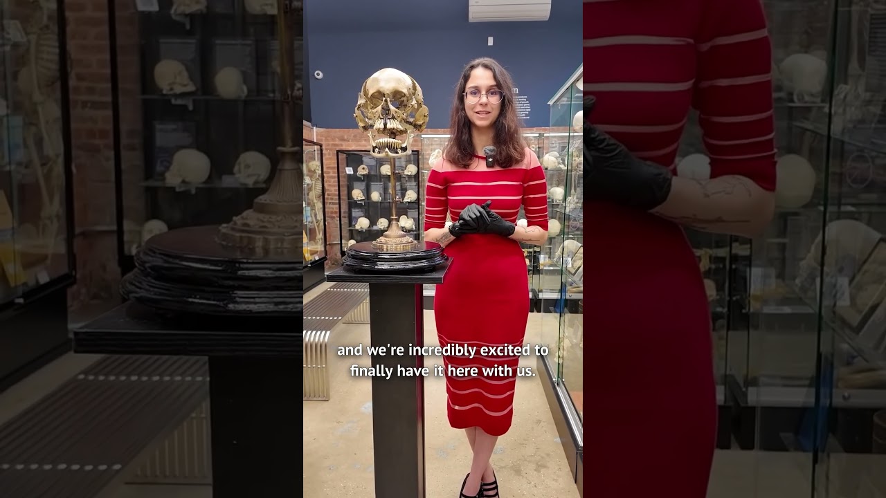 Brand new exploded Skull on display at The Bone Museum￼