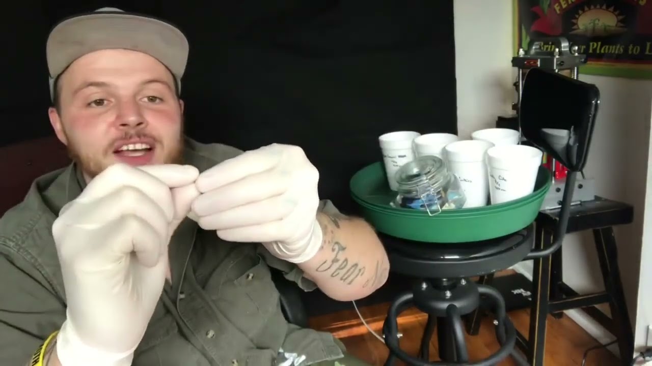 Seed to Harvest: Introducing Growadder’s  Autoflower Strains