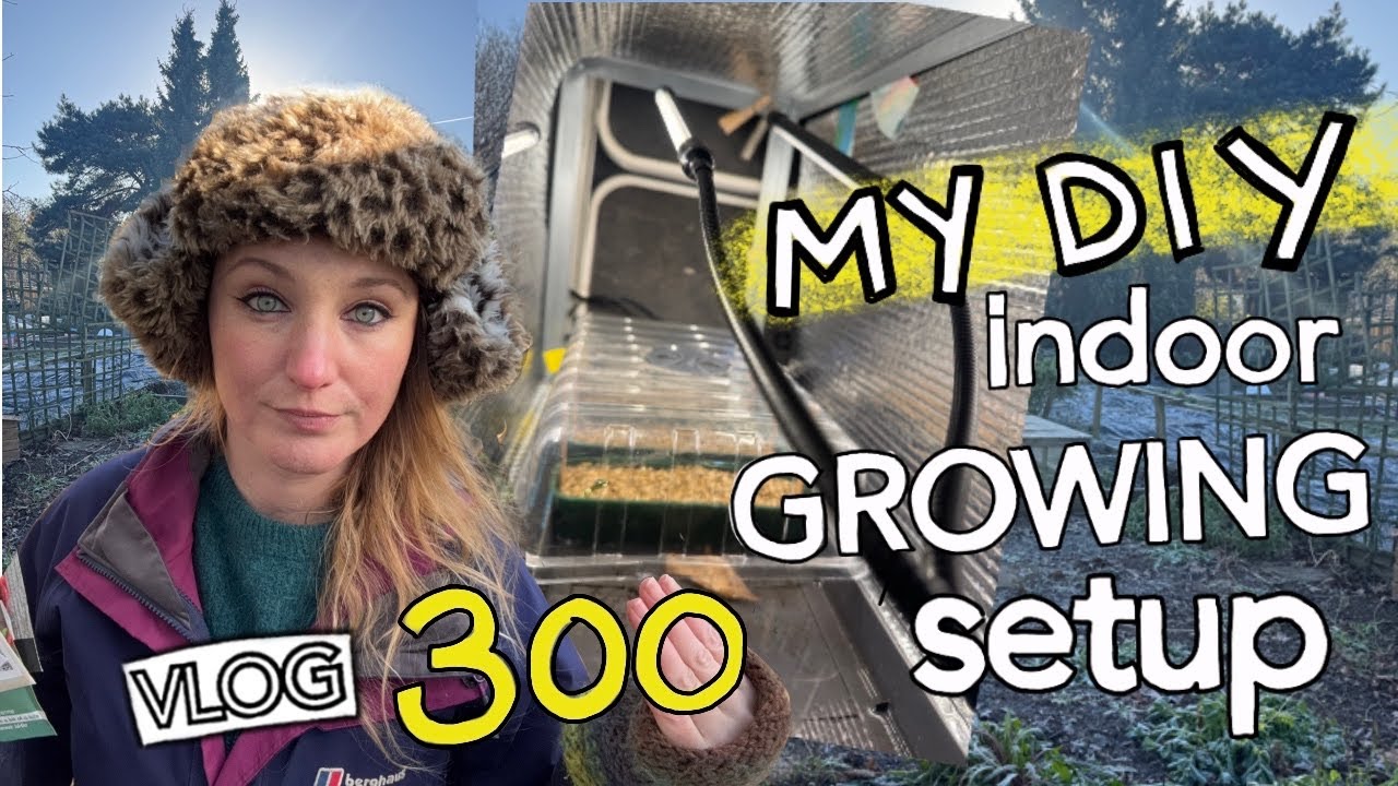 My DIY Indoor Grow Setup for New Year Chilli Sowing!