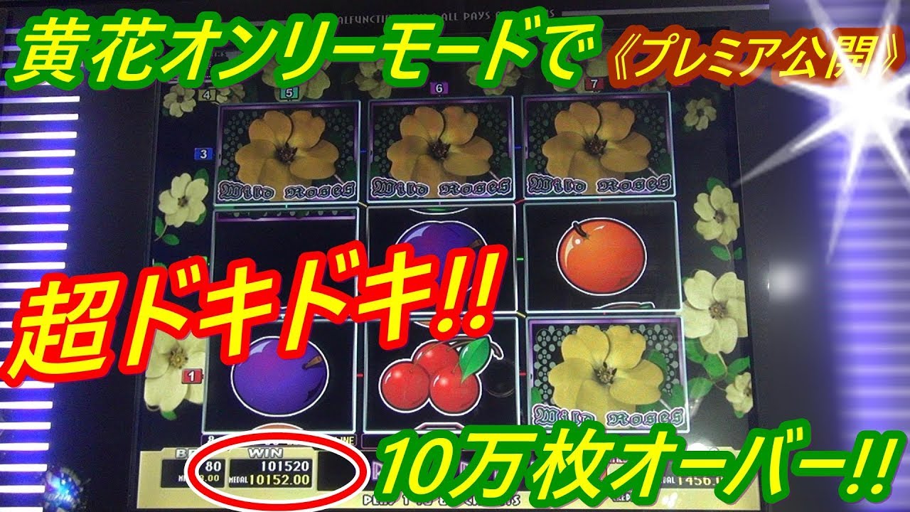 【メダルゲーム】【神回】《プレミア公開》黄花オンリーモードで「夢」が叶う!!　1800倍オーバーのスーパージャックポット!!（2019.06.22）