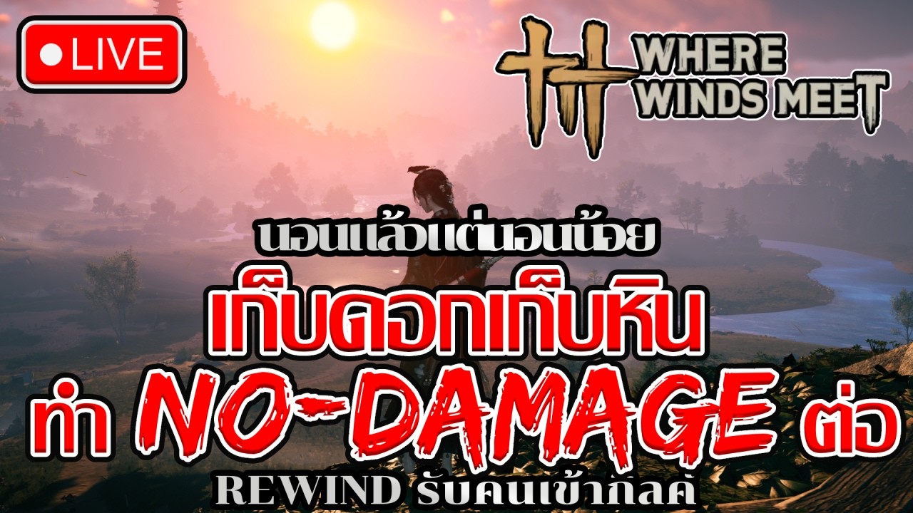 เก็บดอกเก็บหิน ทำNo-Damageต่อ ( Where WInds Meet )