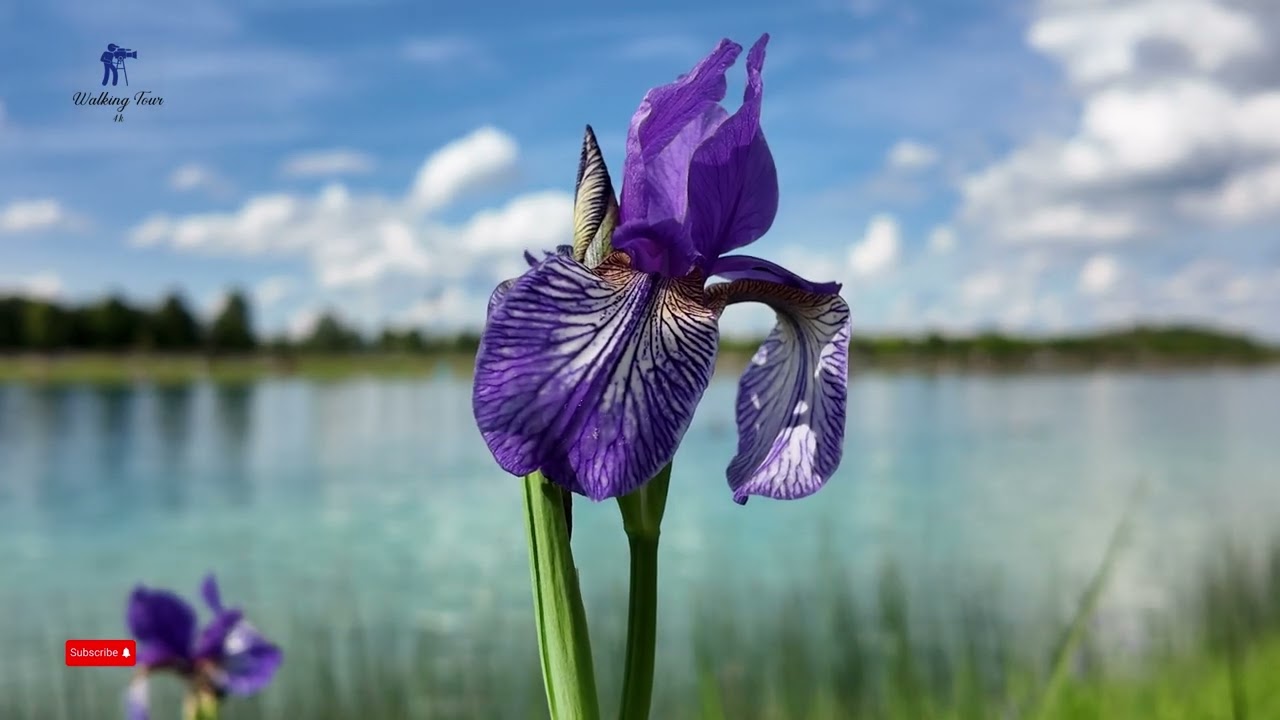 Riemer See München