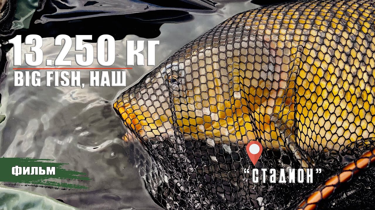 13.250 КГ., BIG FISH, НАШ! РЫБАЛКА НА 