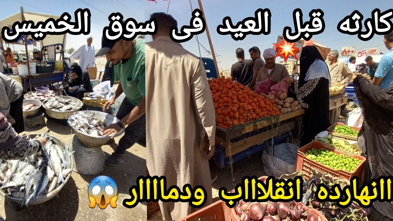 انقلاااب غير طبيعى قبل العيد الأسعار صدمتنى معقوله اسعار الفراخ والسمك والخضار توصل بسعر ده مفاجأه😱
