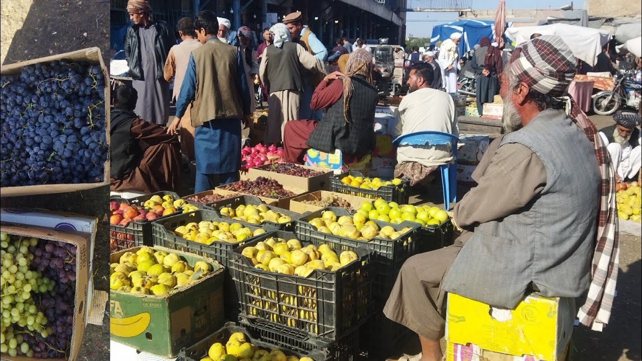 گزارش صبگاهی میدان بار قفسلان/ انار قندهار